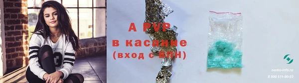 крисы Володарск