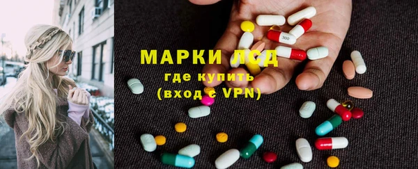соль ск Богданович