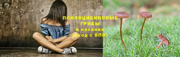 PSILOCYBIN Верхний Тагил
