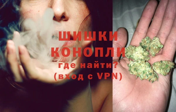 PSILOCYBIN Верхний Тагил